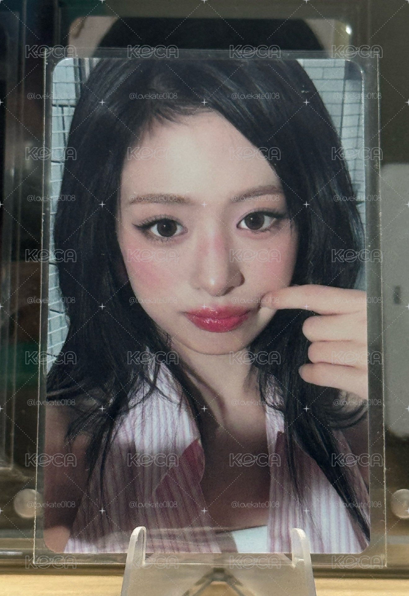 捏臉賢