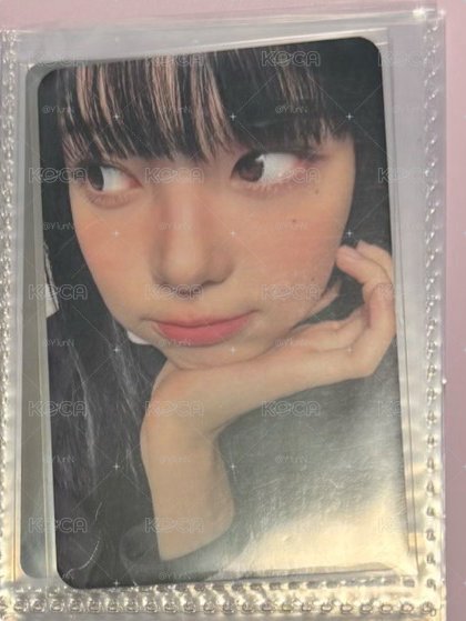 Ms特典