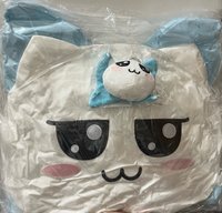 雅賢抱枕+吊飾+滿額卡