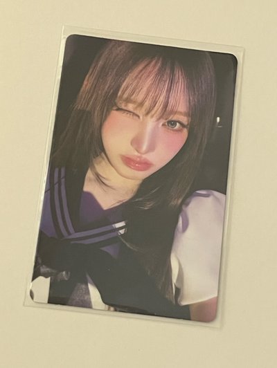 水手栗