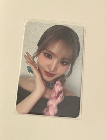 托臉栗