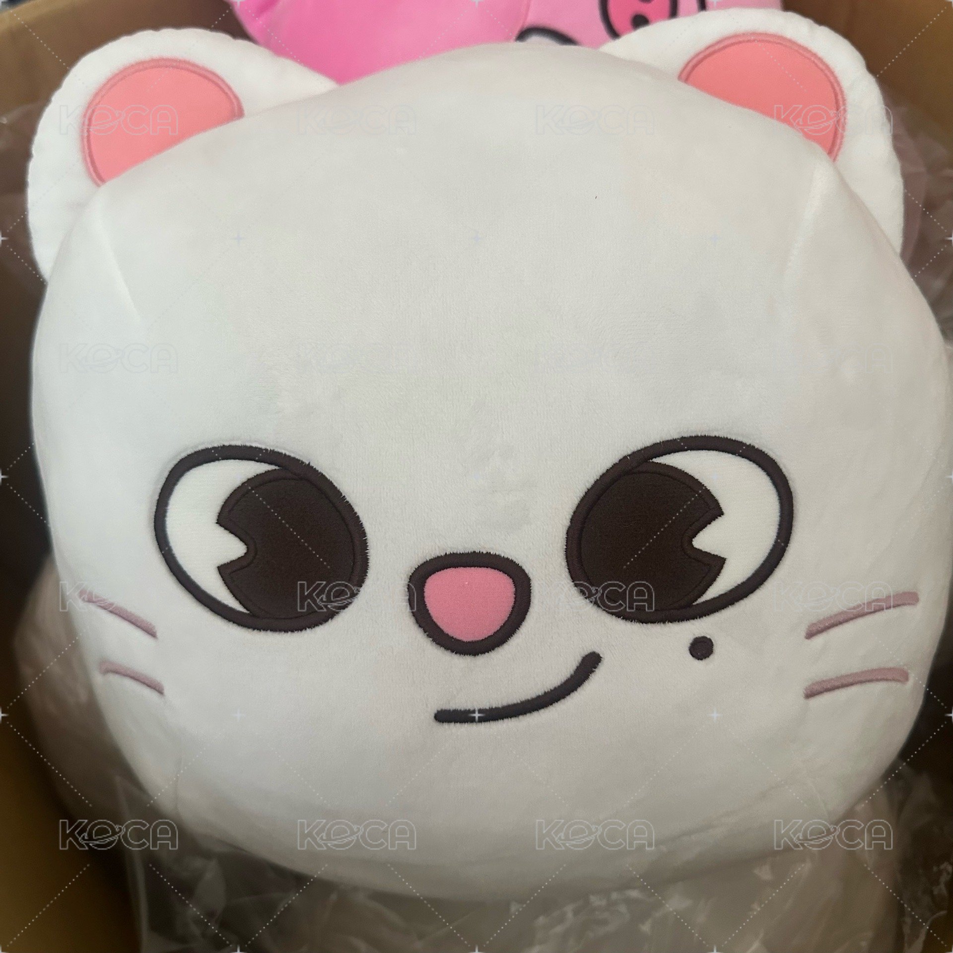 抱枕-鉉