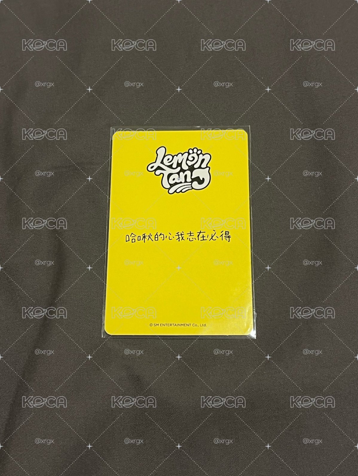 Lemon Tang 京東預售 Jiwoo（中文卡背：哈啾的心我志在必得）