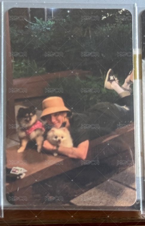 雙狗狗卡（多帶3張150小卡）
