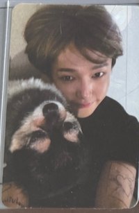 狗狗卡2（多帶3張150小卡）