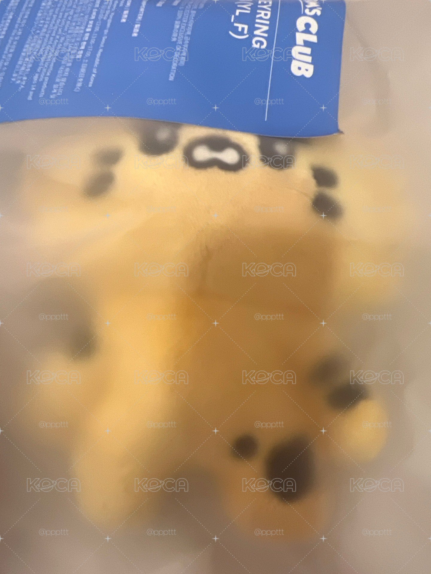 原皮娃