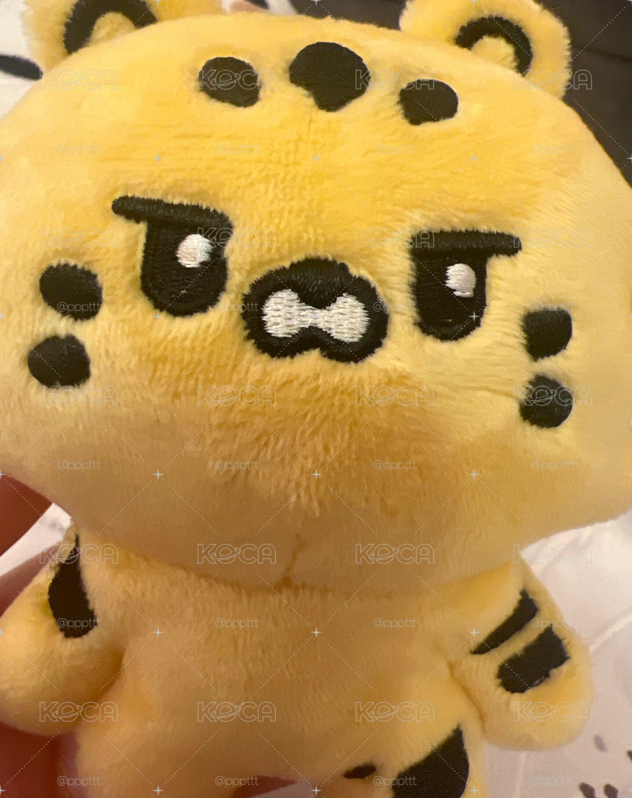 原皮娃