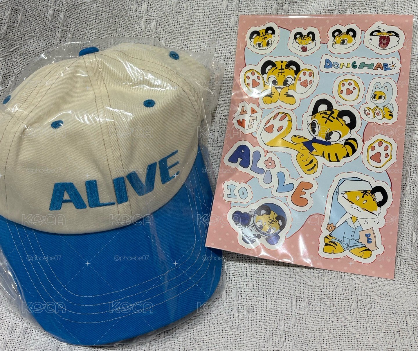 ALIVE 貼紙+帽子