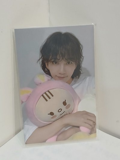 Search image
