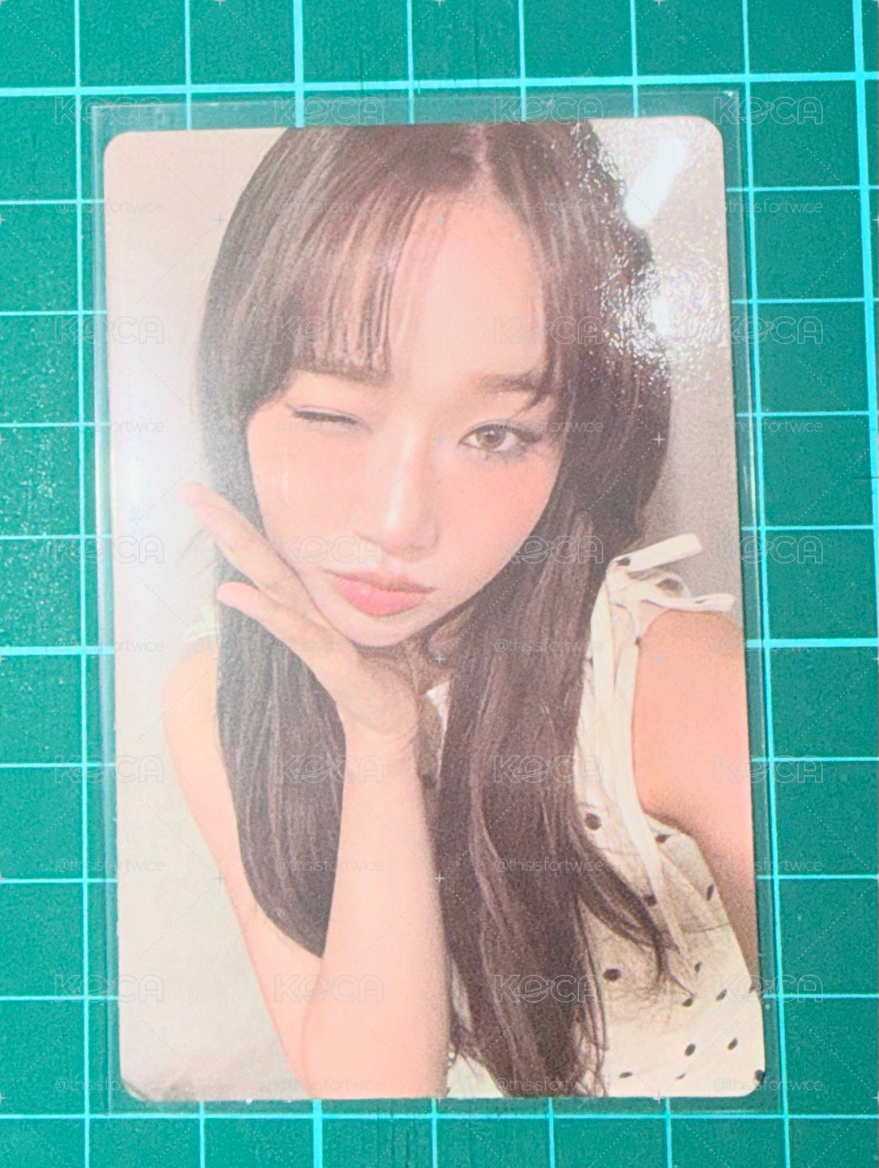 I.O.I 有情迷3 專輯卡