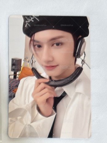 一些🐱