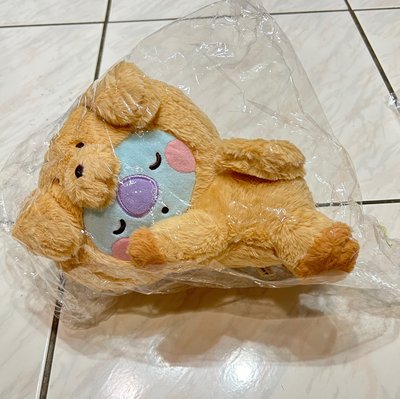 BT21 趴睡娃 中娃 Fluffy