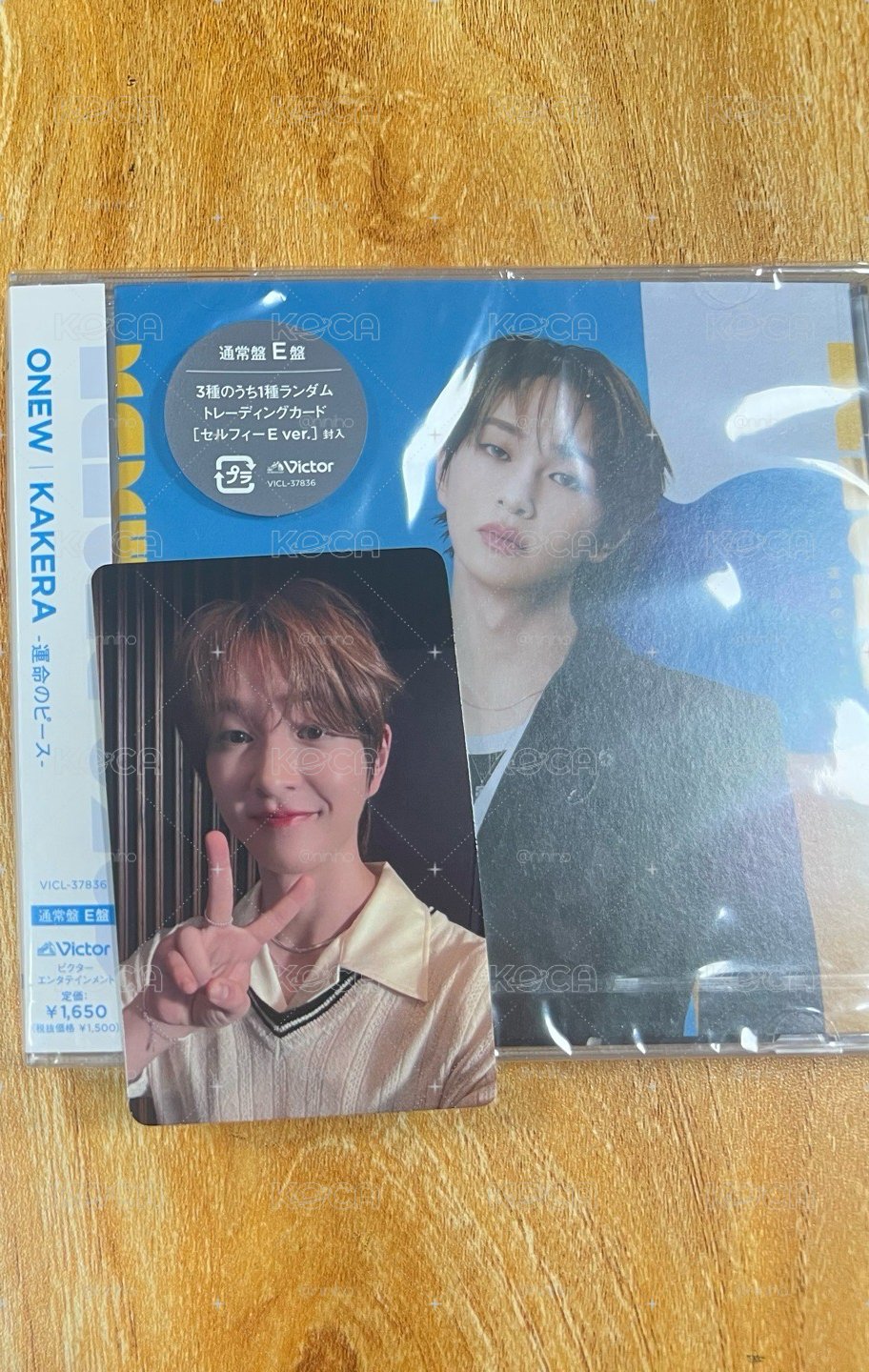 珍基日單🧩KAKERA -運命のピースーE盤+9/23特典