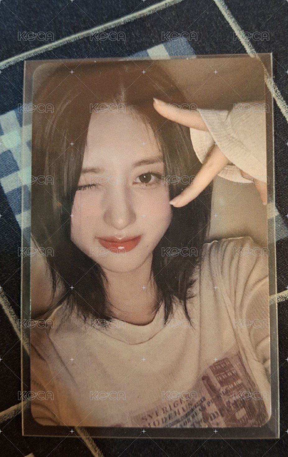 貓耳秋