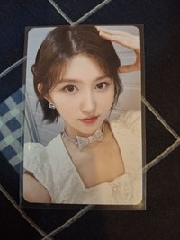 狗耳秋