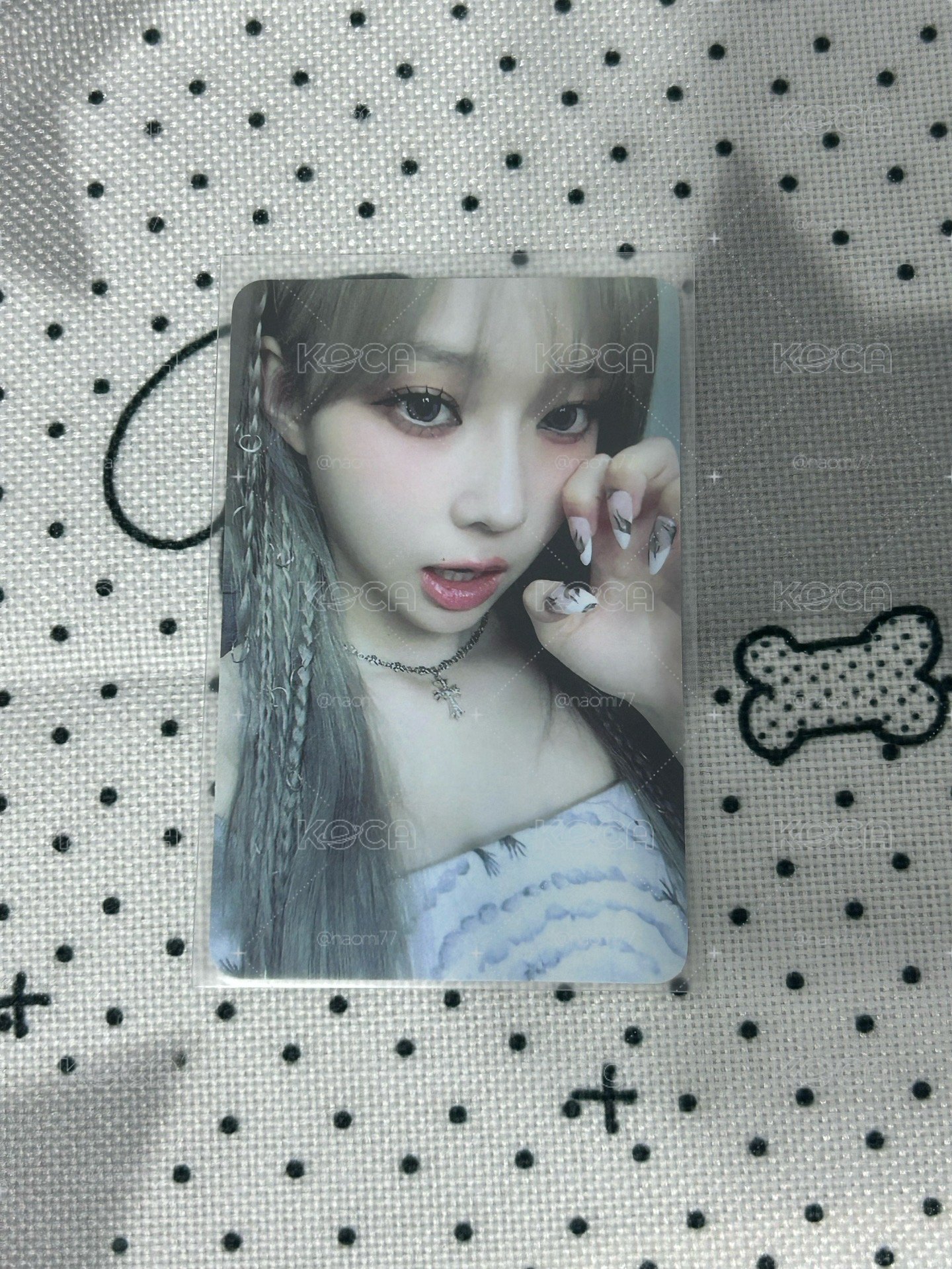 銀髮貓爪冬