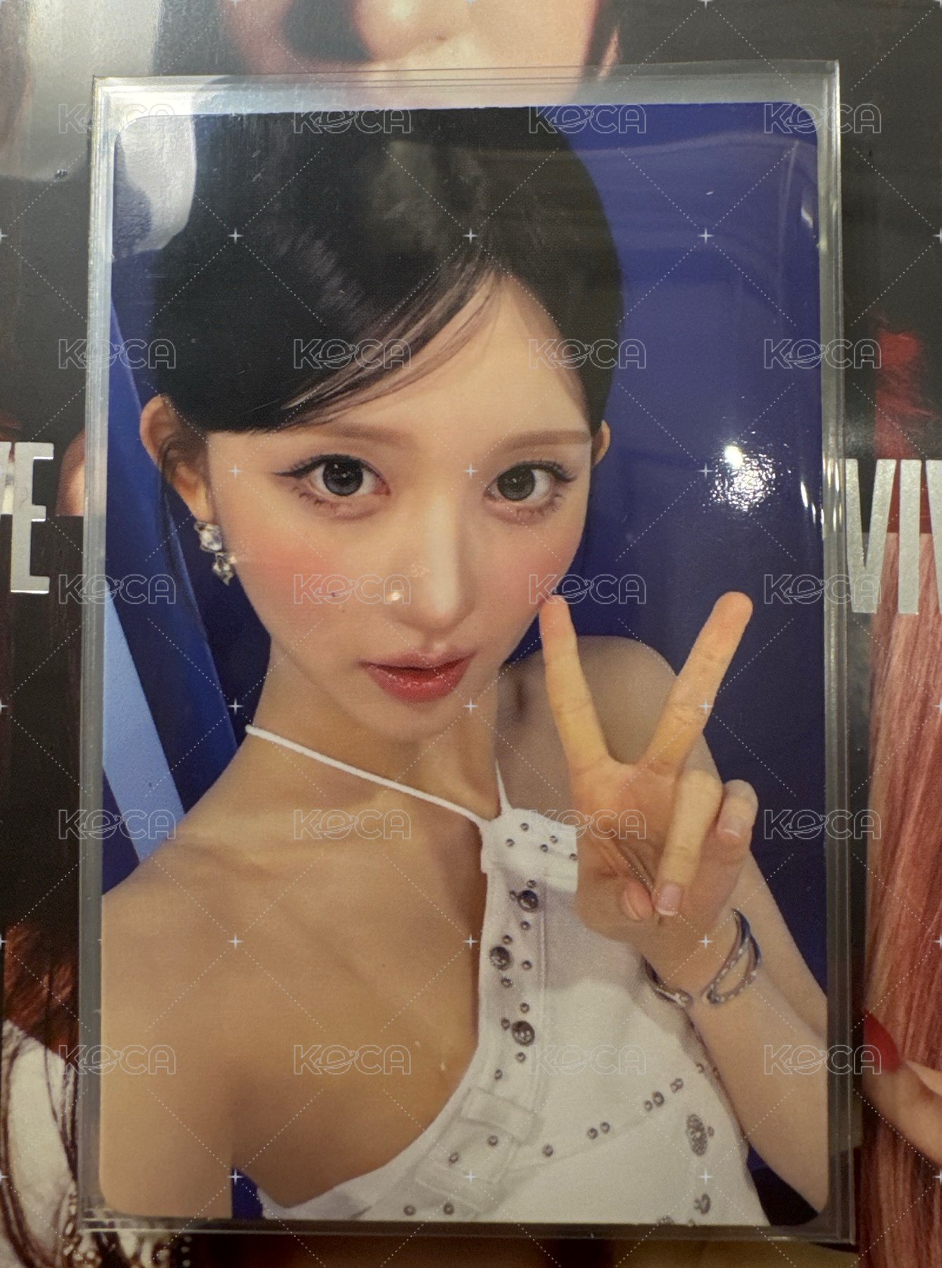 秋 簽售