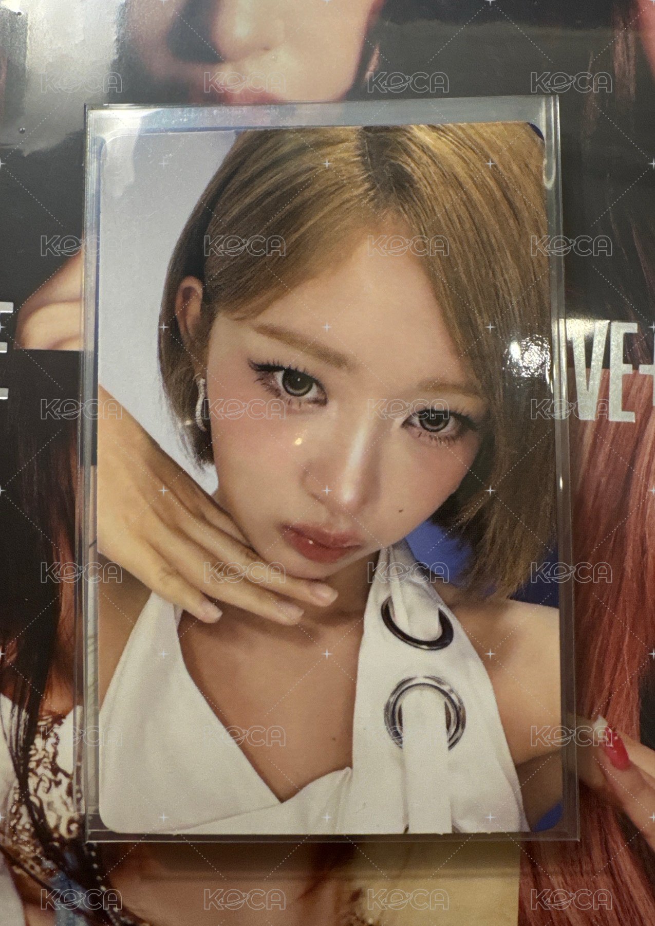 怜 簽售