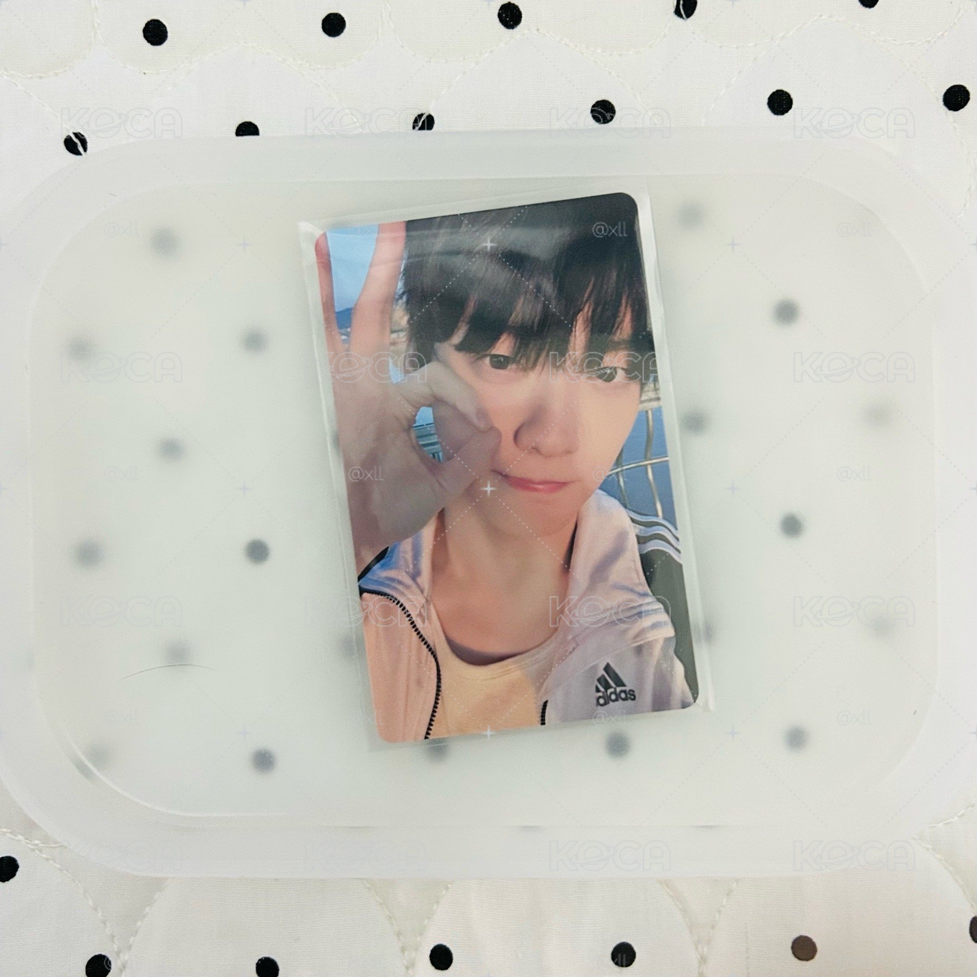 彬