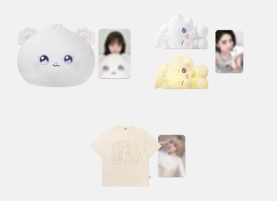 現貨速出 含周邊卡 NMIXX 海嫄 抱枕莉莉 衣服 裴 夜燈