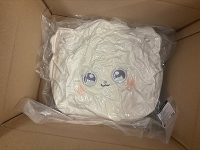現貨速出 含周邊卡 NMIXX 海嫄 抱枕莉莉 衣服 裴 夜燈