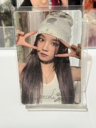美網琦