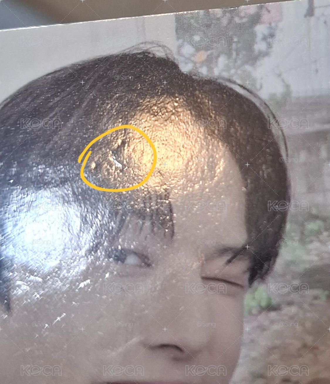 三期會員禮小卡 香片 卡套