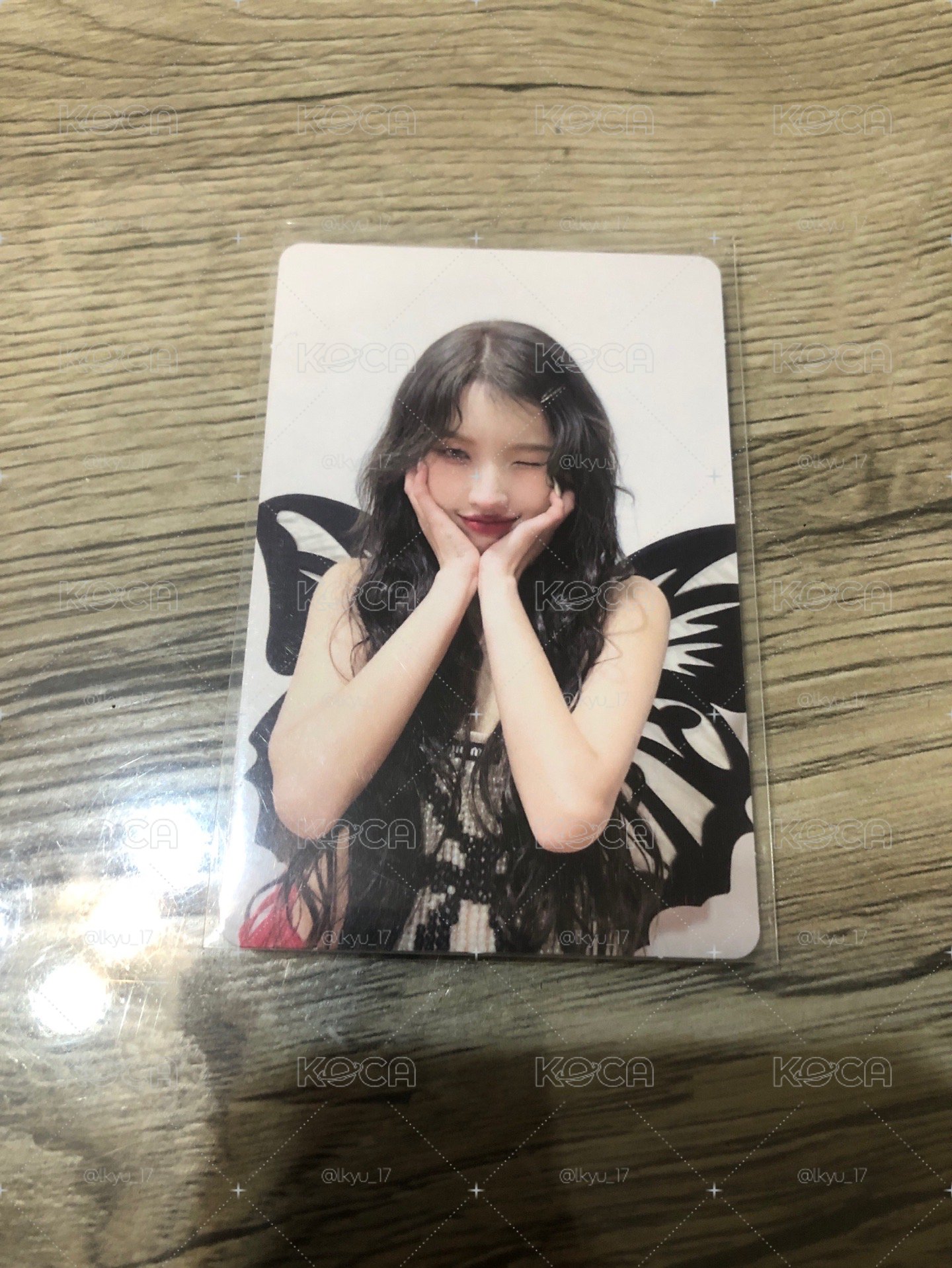 蝴蝶娟🦋