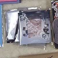 19.99電子專
