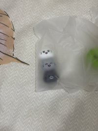 隱藏版O.C.L