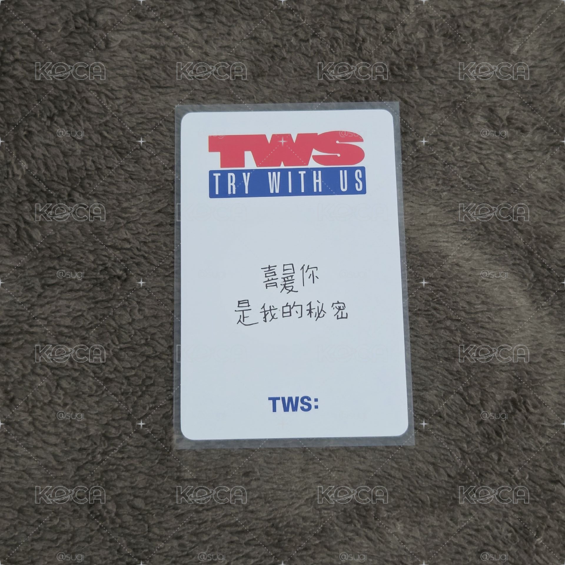 申惟中背 400綁賣場💙區130