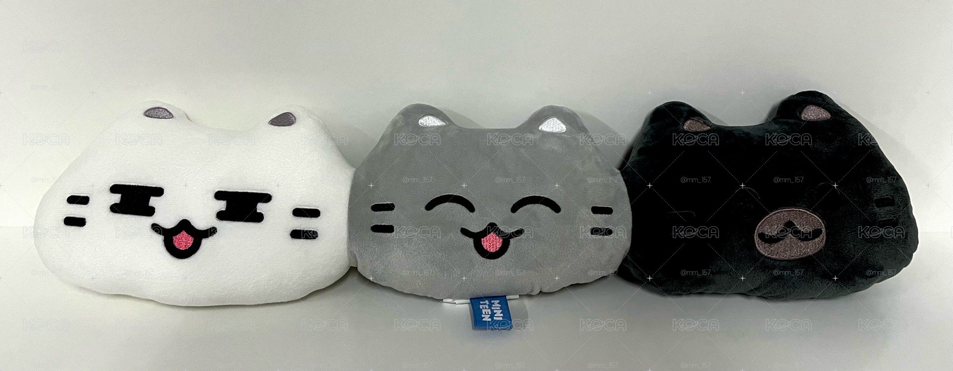 📦《MINITEEN》S.Coups、Joshua、Jun