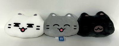 📦《MINITEEN》S.Coups、Joshua、Jun