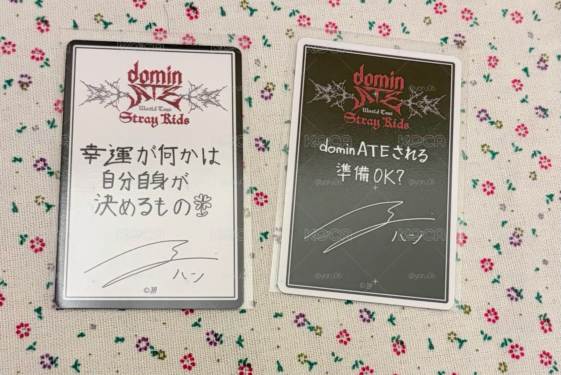 domin ate 日周特典
