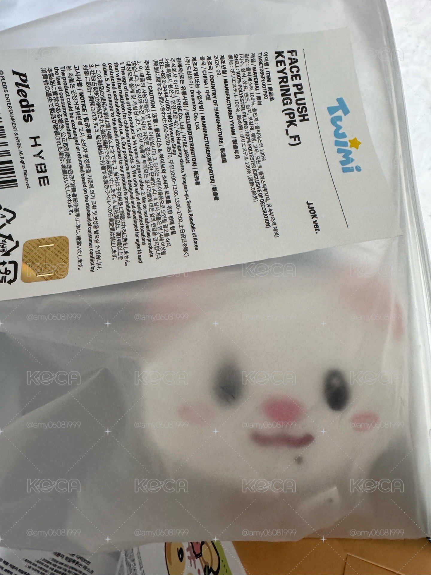 現貨隔日發 TWS 申惟 大頭吊飾娃