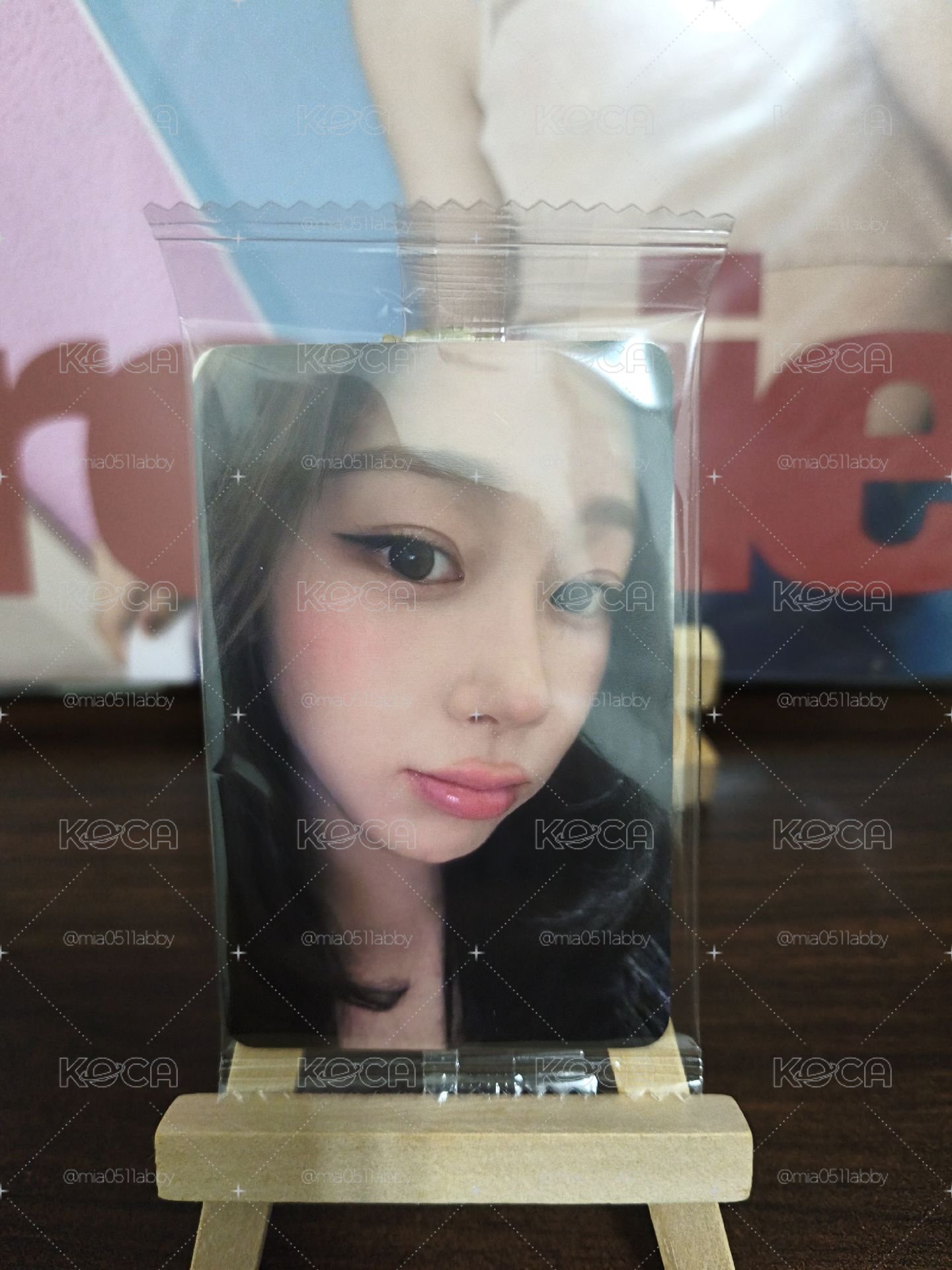 博美吉