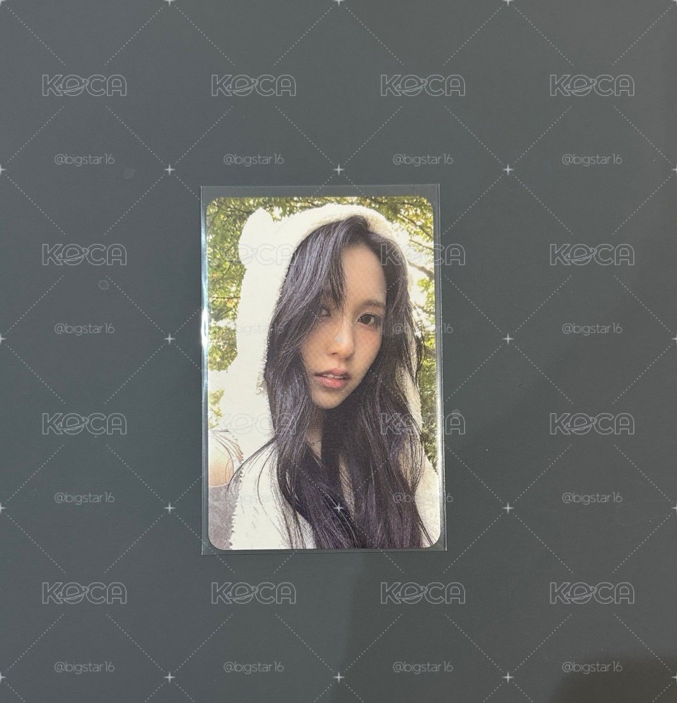 南🐧小卡11