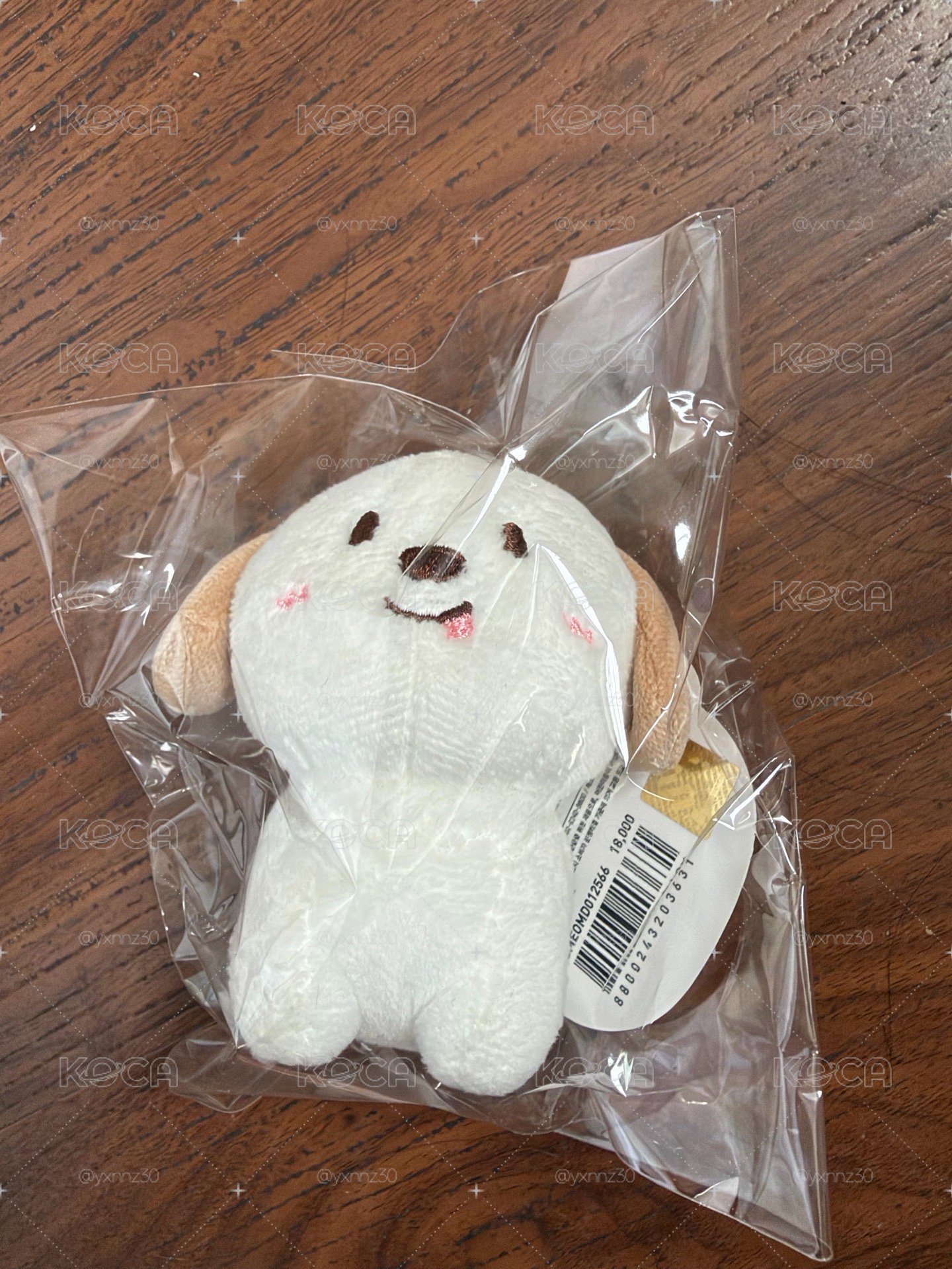 情人節狗龍