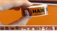 紙膠帶 羚邦 排球少年