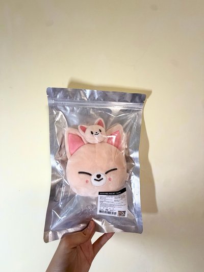 全球快閃 寅伸縮包