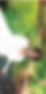 ‘DREAMSCAPE’ fp Dream Record ver. 特典卡