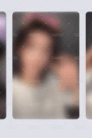 WVS預售
