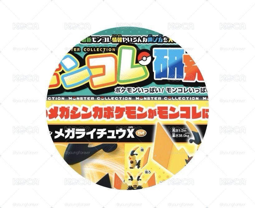 精靈寶可夢歡樂大集合 VOL.100：豪華附錄組ポケモンファン VOL.100