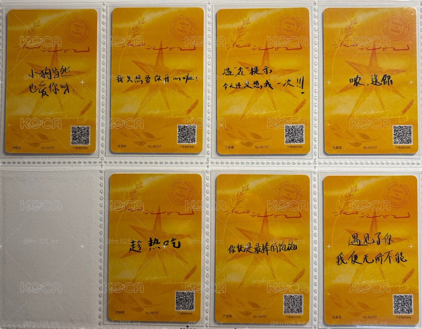 秋日記憶團固-一套（卡背有寫字）