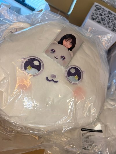 現貨 海嫄抱枕 加抱枕卡 ➕三張滿額卡
