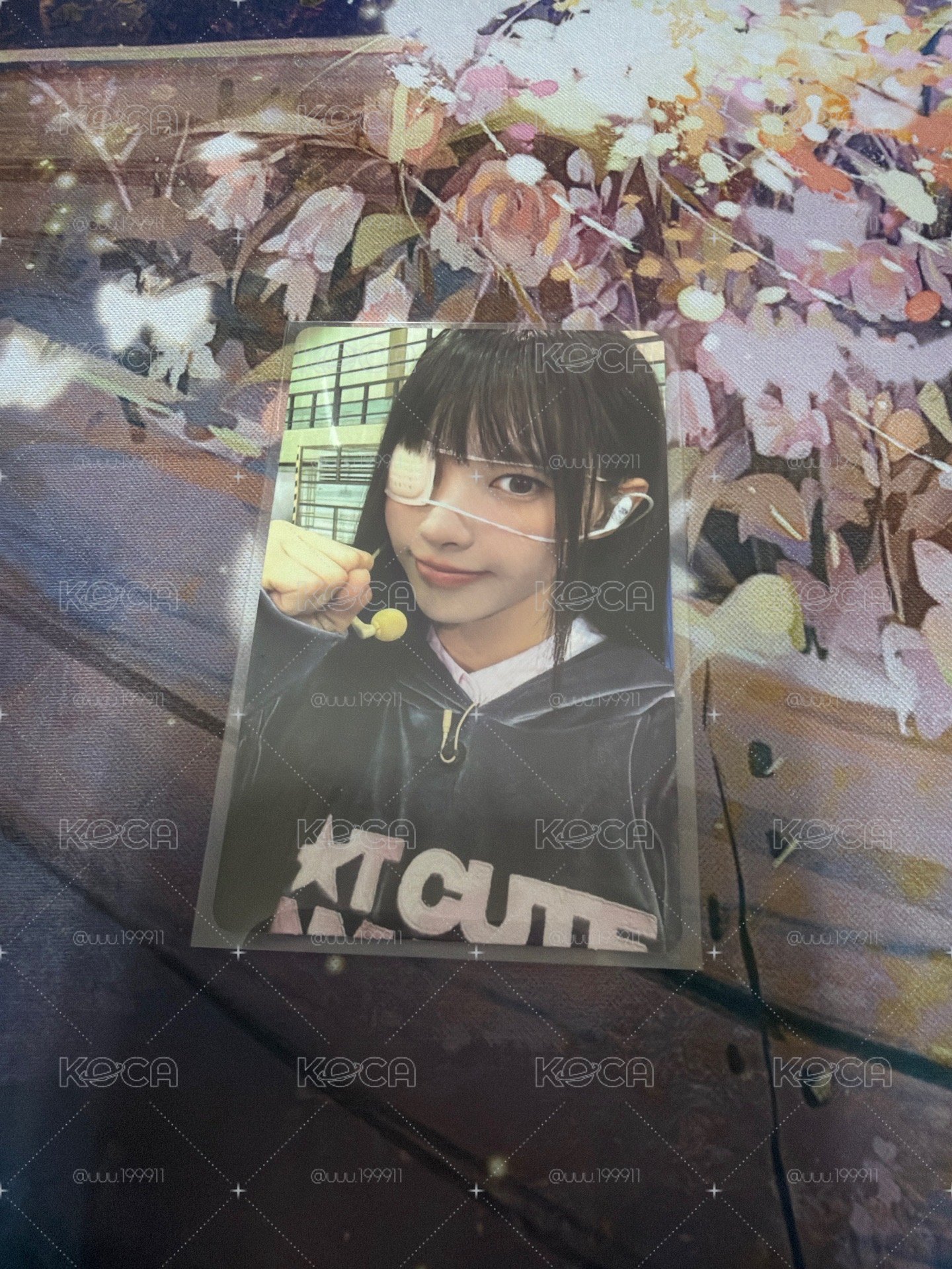 NOT CUTE ANYMORE dingo 特典卡 