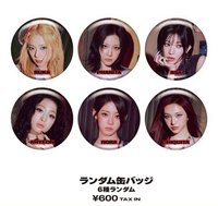 MOON 日本周邊 徽章 隨機未拆