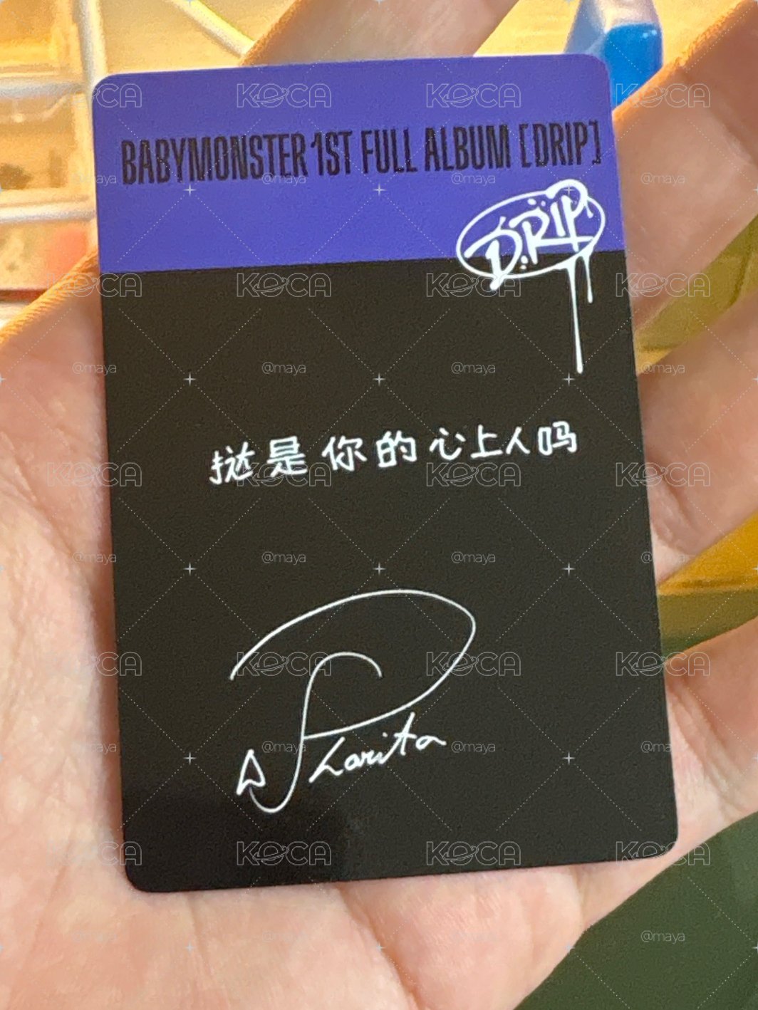  Pharita DRIP 正規一 京東2.0特典 中文卡背 京東塔