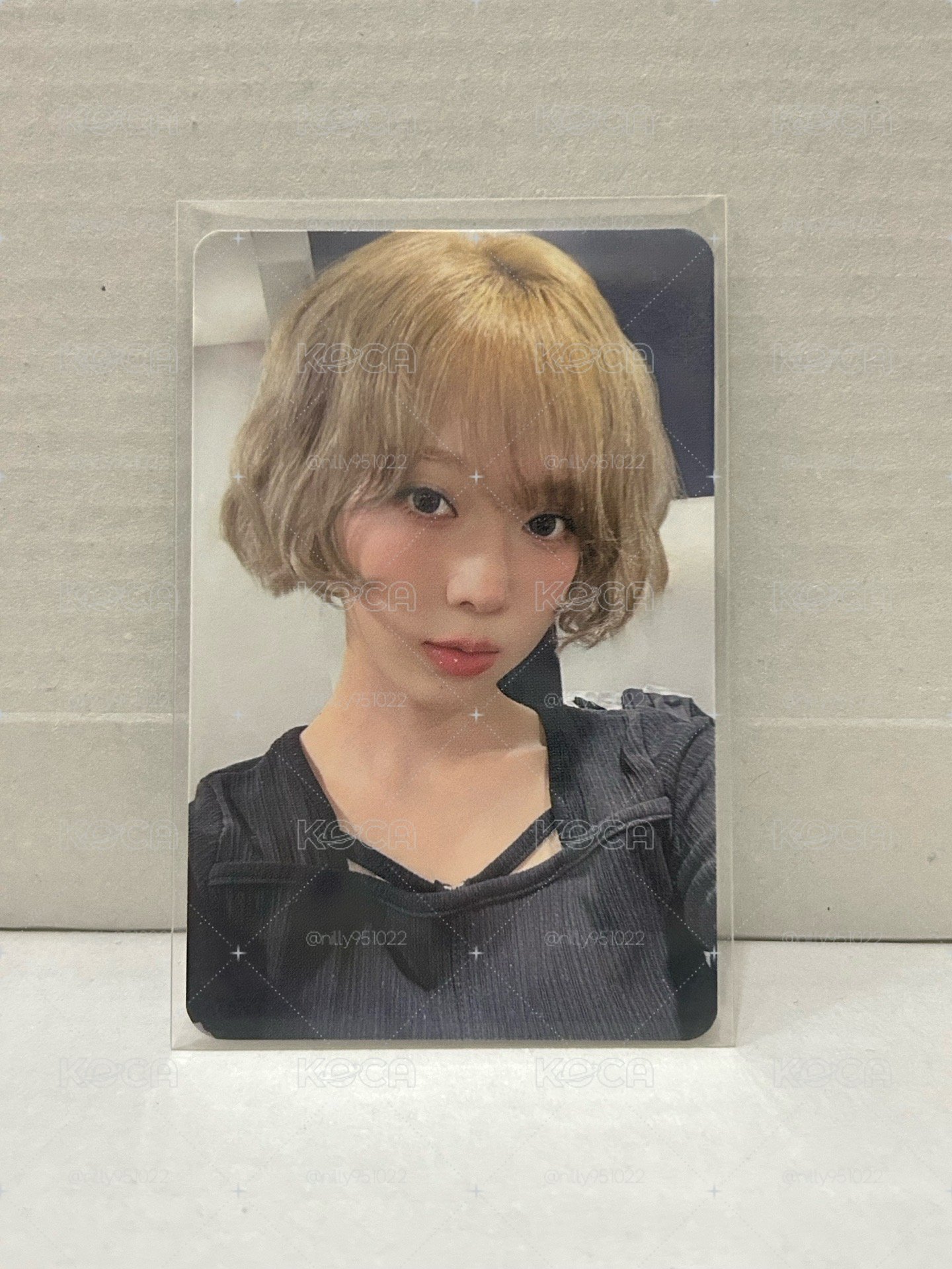 ms簽售冬