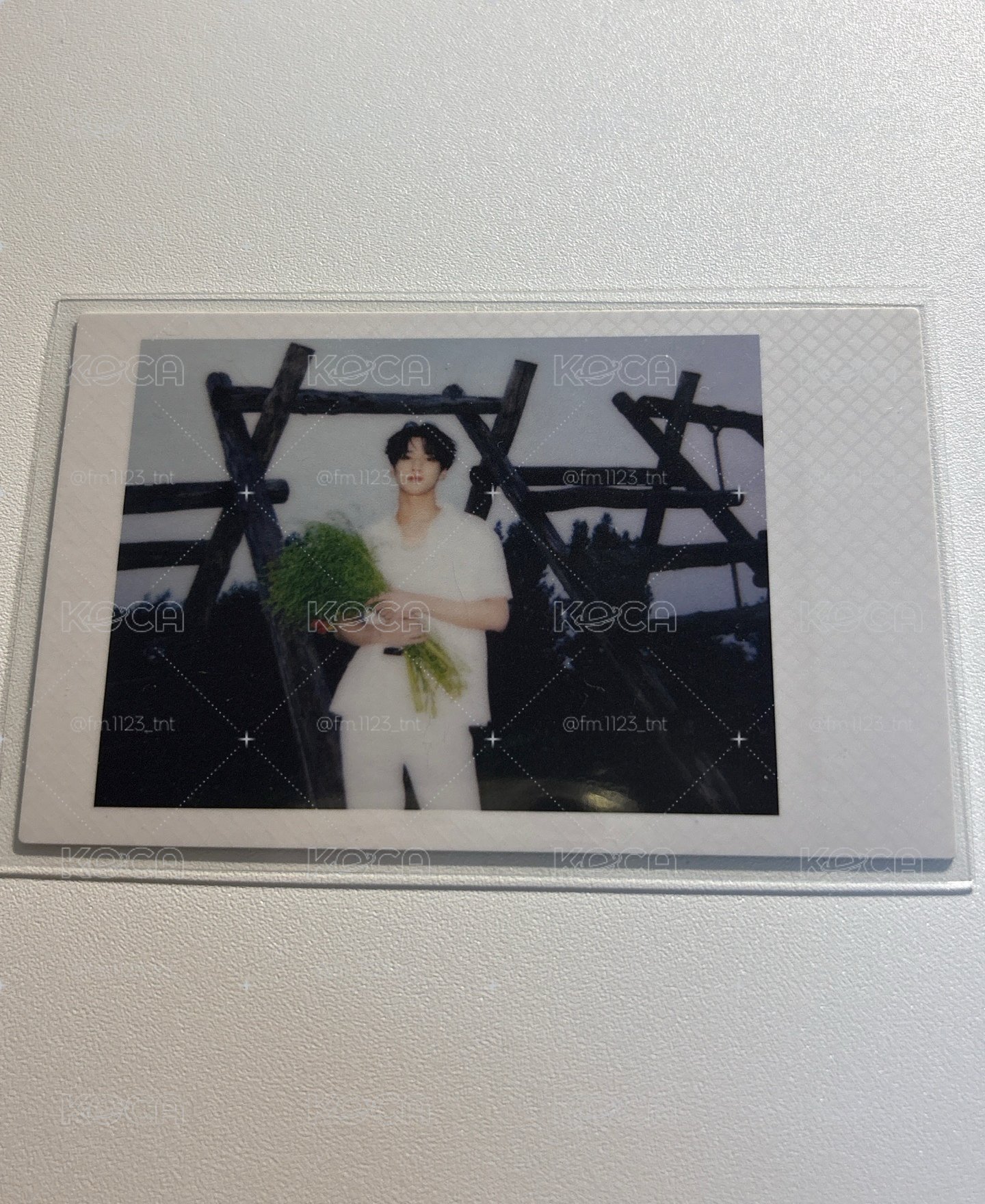 嚴浩翔春日隱藏-需捆賣場小卡
